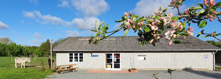 Vores butik på en forårsdag.